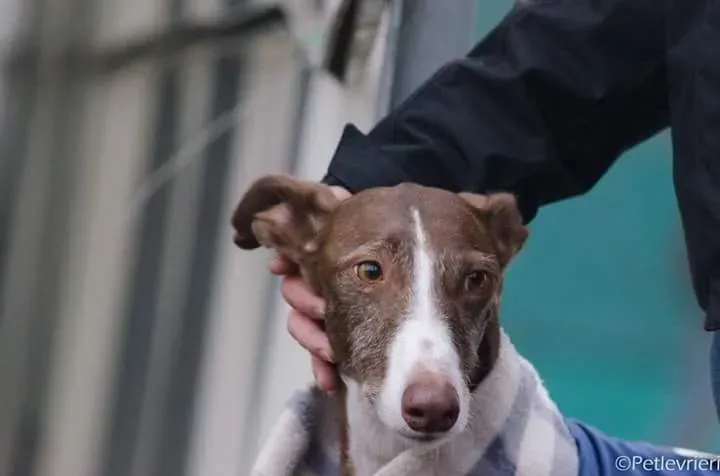 FB IMG 1479845418120