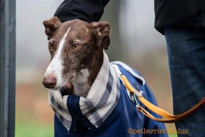 FB IMG 1479845420766