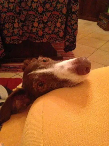 FB IMG 1479845423496