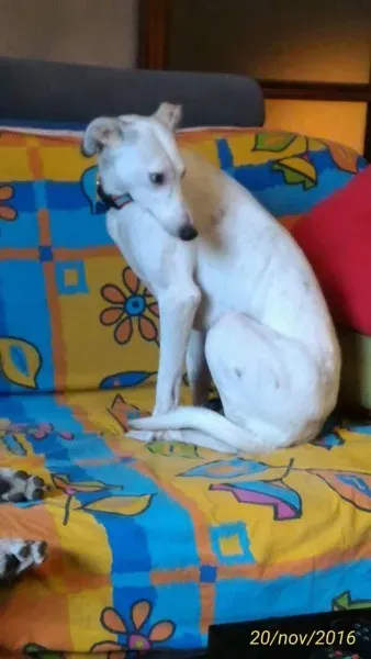 FB IMG 1479845447349