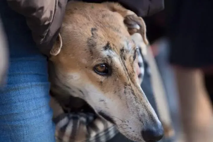 FB IMG 1480017482531