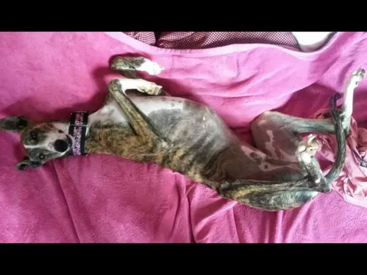 FB IMG 1480017770332