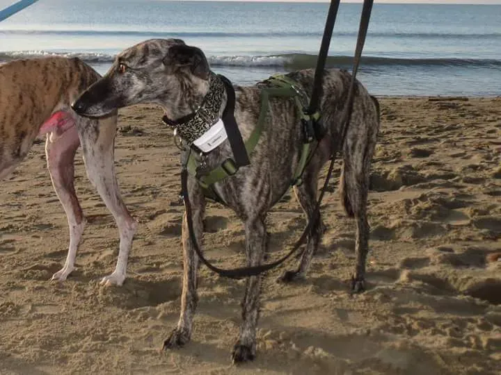 FB IMG 1480751170987