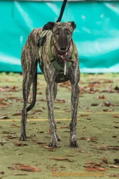 FB IMG 1480751180943