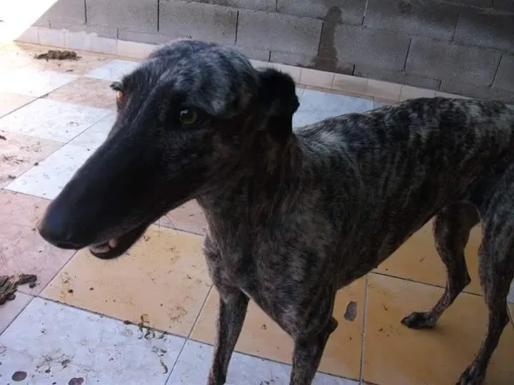 FB IMG 1480751186640