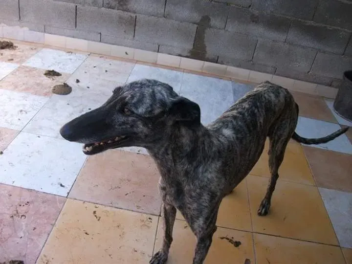 FB IMG 1480751189273