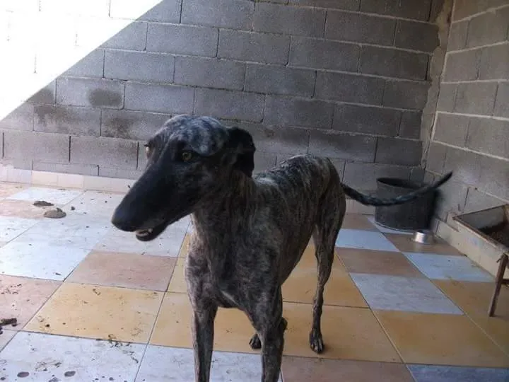 FB IMG 1480751192090