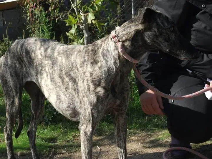 FB IMG 1480751194974