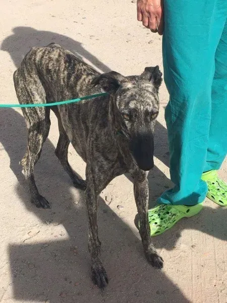 FB IMG 1480751197460