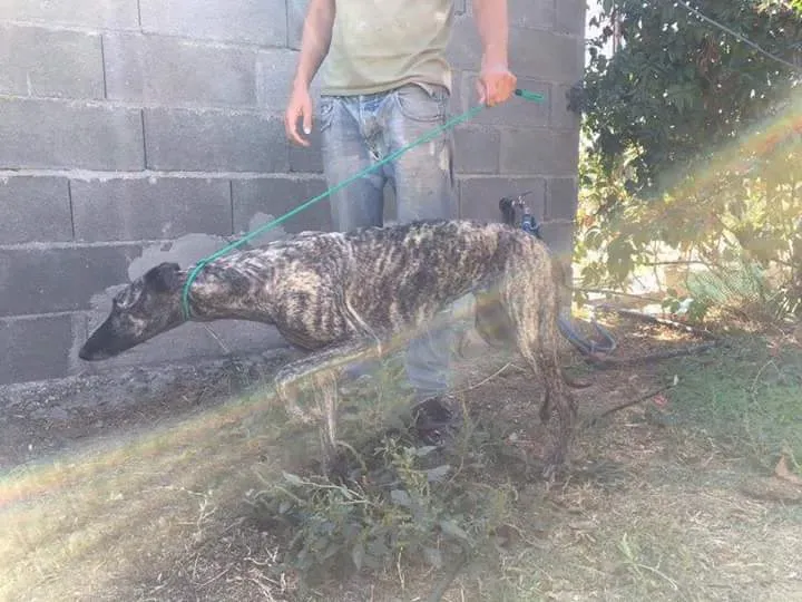 FB IMG 1480751200530