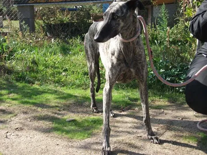 FB IMG 1480751203105