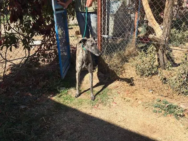 FB IMG 1480751205775