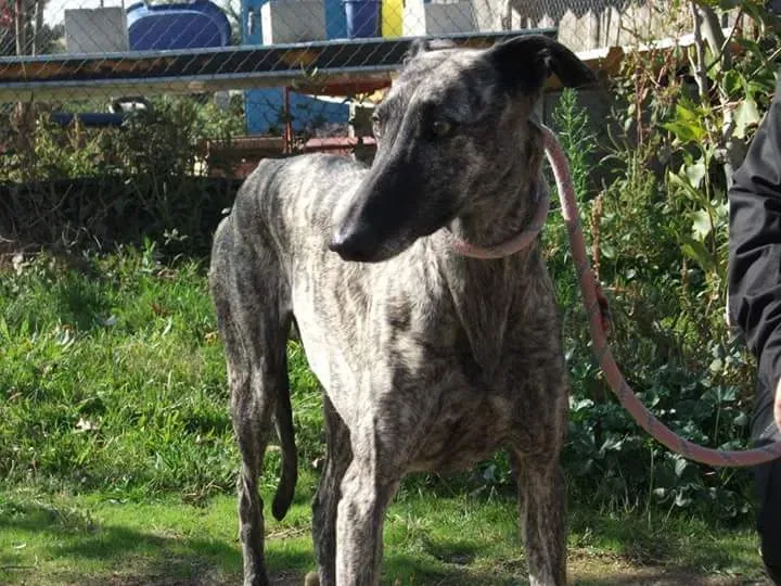 FB IMG 1480751208428