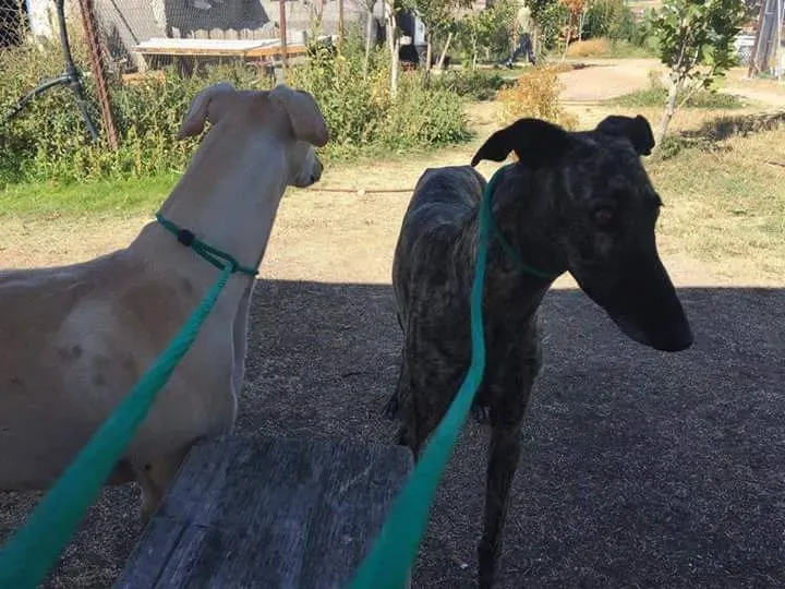 FB IMG 1480751211158