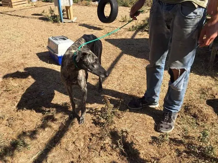 FB IMG 1480751213801