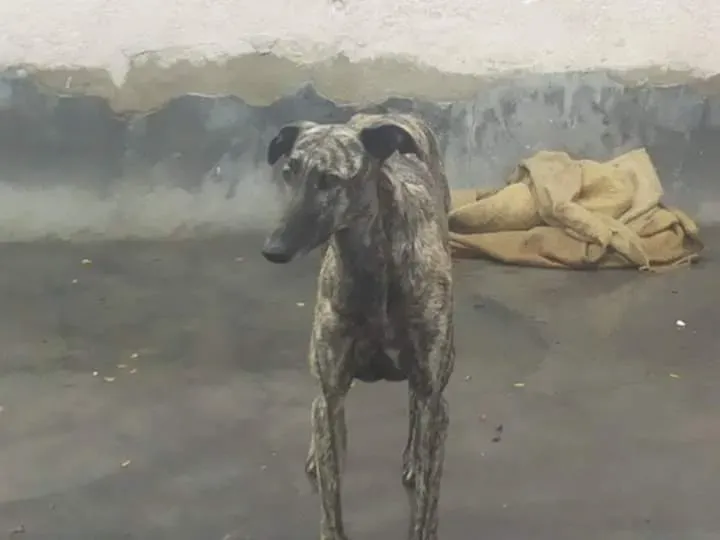 FB IMG 1480751216578