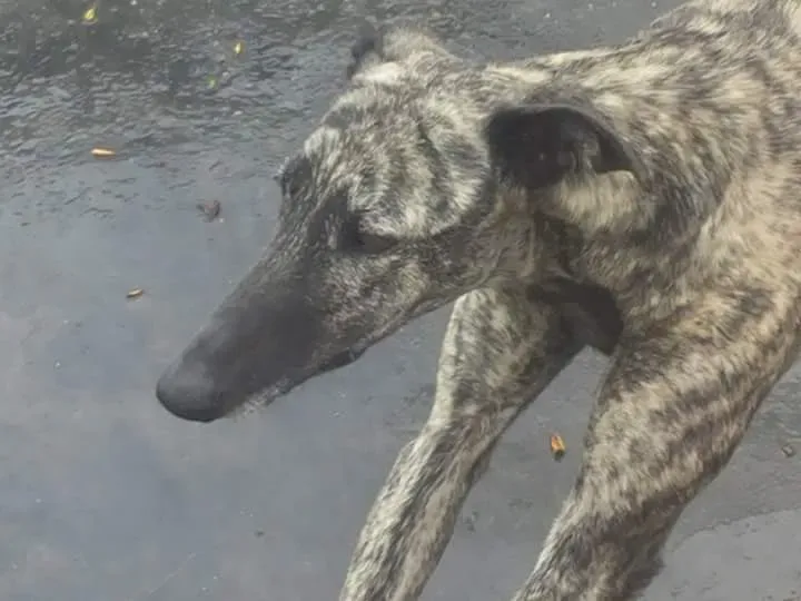 FB IMG 1480751220968