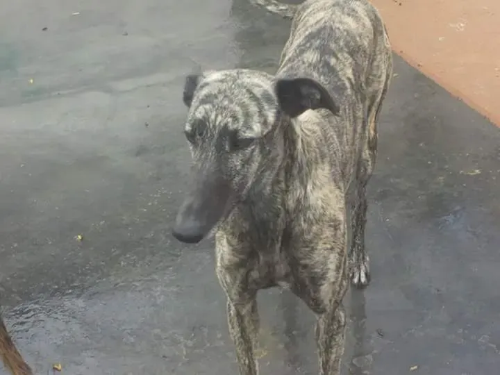 FB IMG 1480751223729