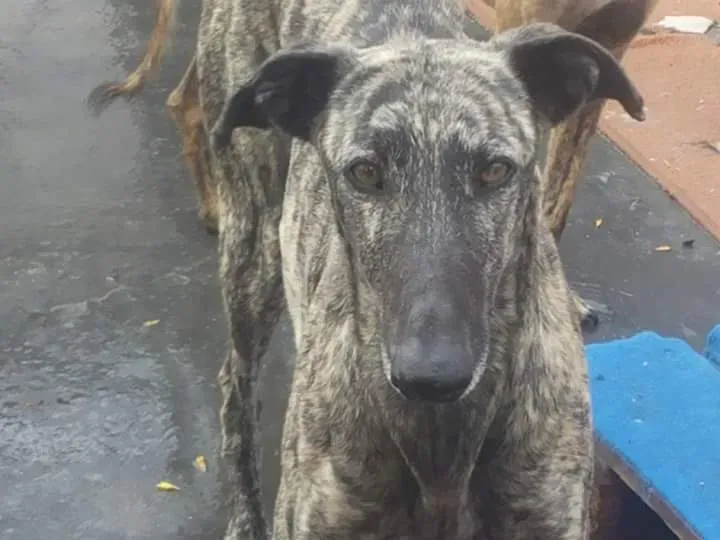 FB IMG 1480751226294