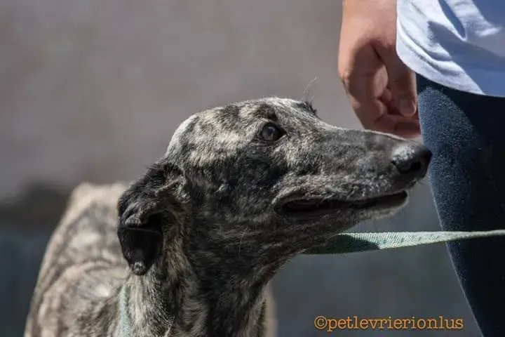 FB IMG 1480751231796