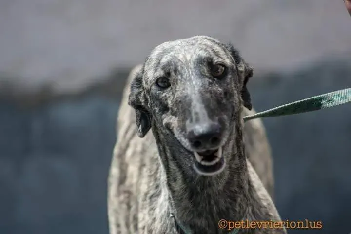 FB IMG 1480751236992