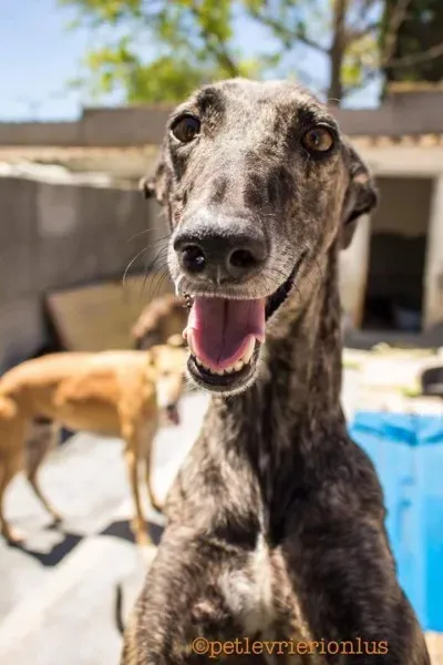 FB IMG 1480751480054