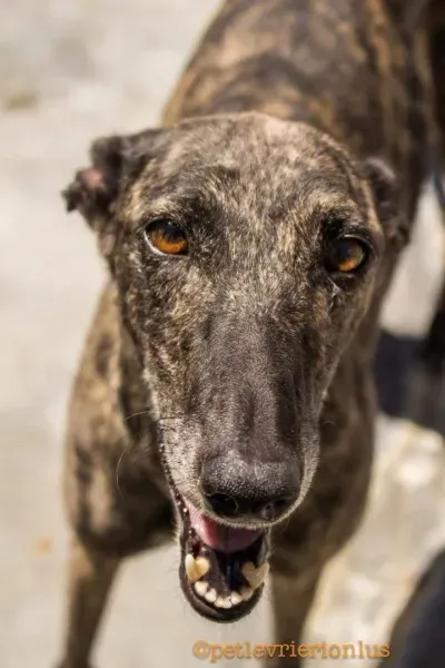 FB IMG 1480751482535