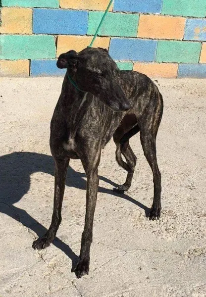 FB IMG 1480751488249