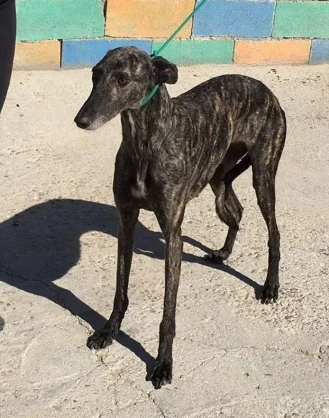 FB IMG 1480751491034