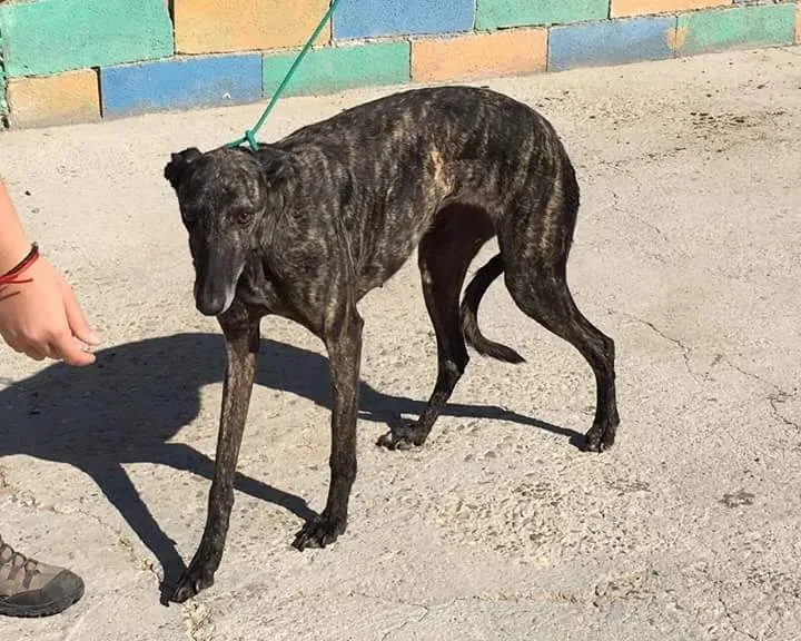 FB IMG 1480751493615