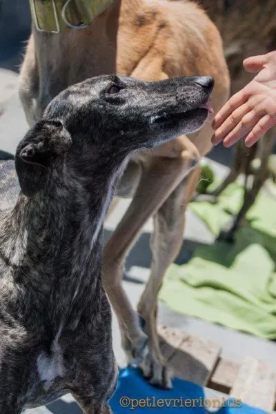 FB IMG 1480751499487