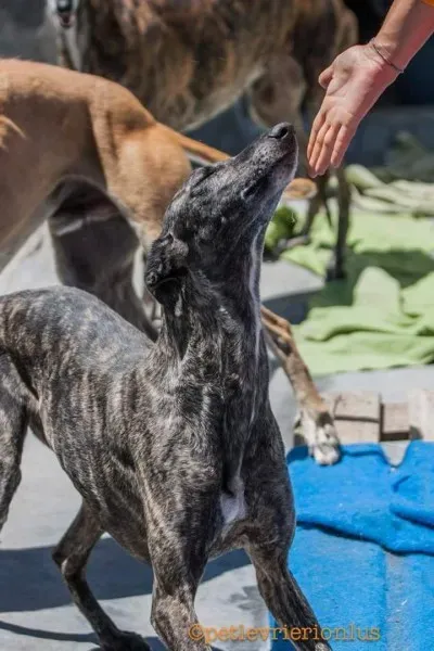 FB IMG 1480751504457