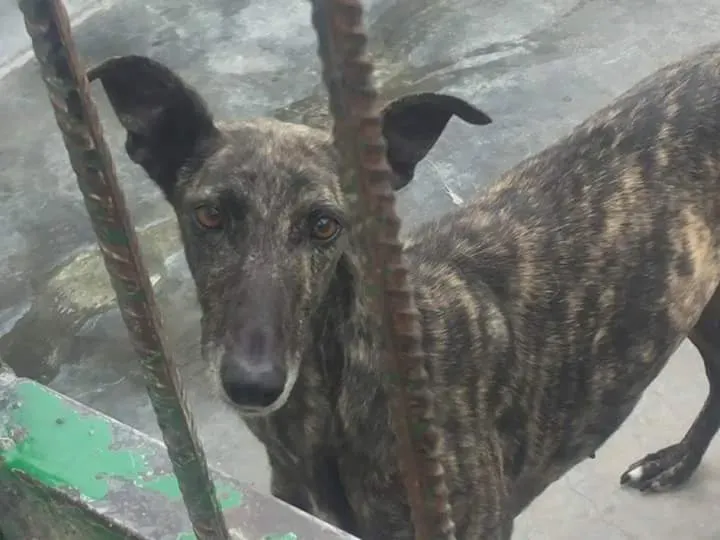 FB IMG 1480751506901