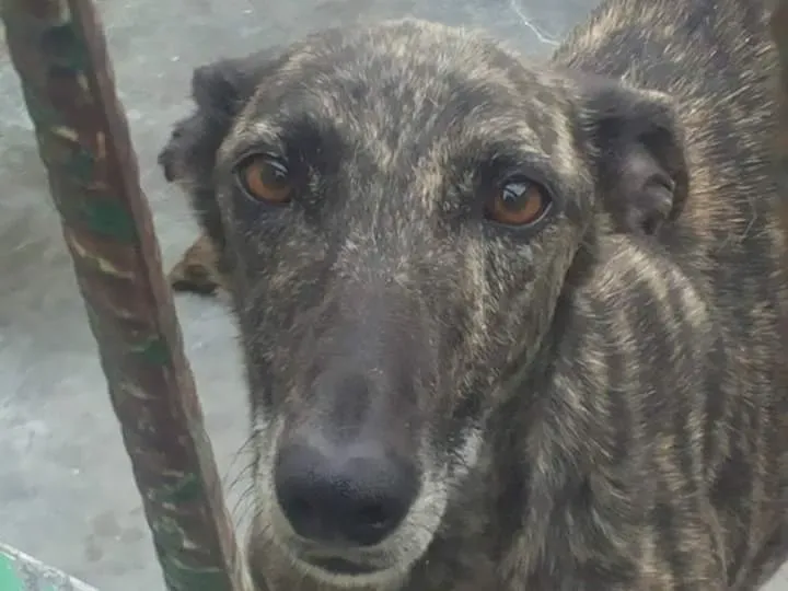 FB IMG 1480751509419