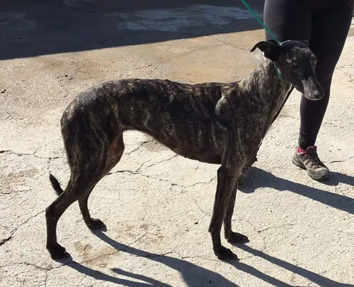 FB IMG 1480751512036