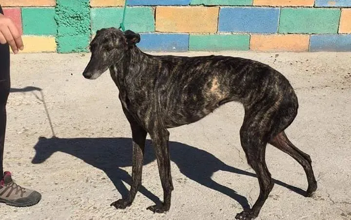 FB IMG 1480751514872