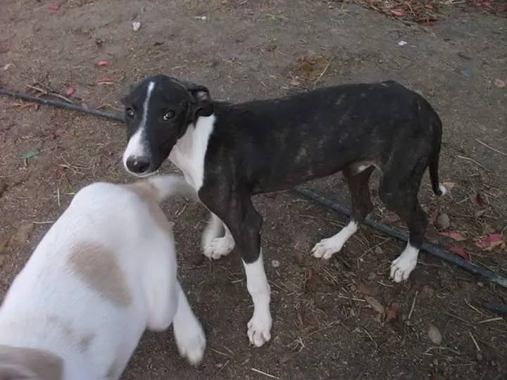 FB IMG 1481018689471