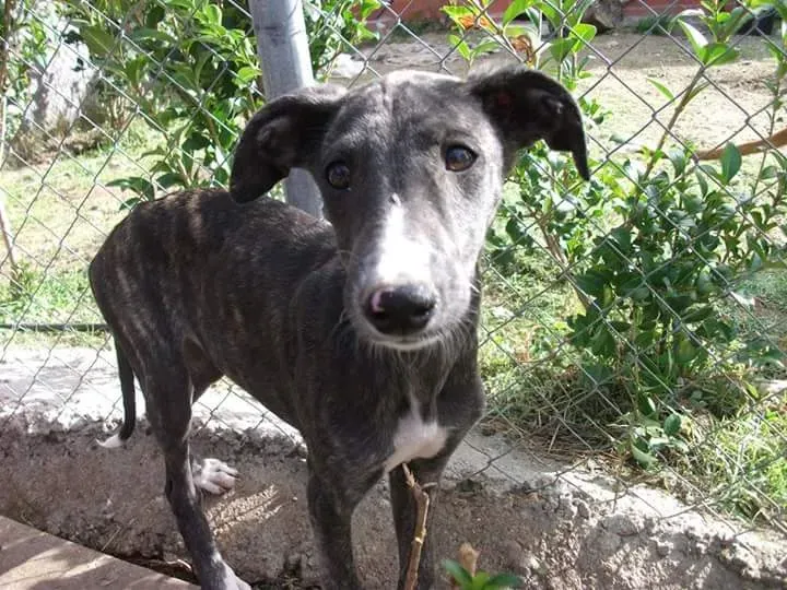 FB IMG 1481018701195