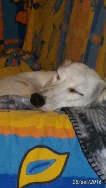 FB IMG 1487241181766