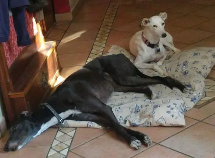 FB IMG 1487241184900