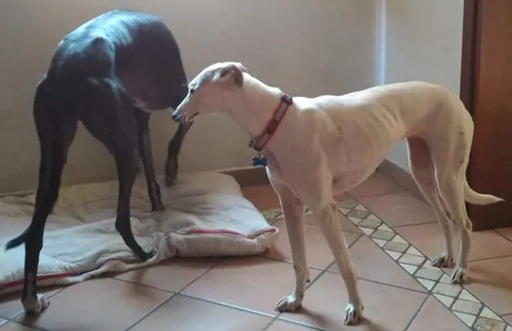 FB IMG 1487241187485