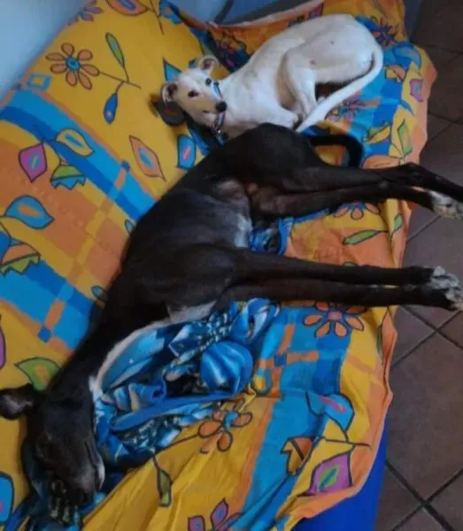 FB IMG 1487241190068