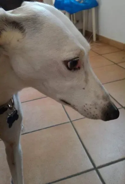 FB IMG 1487241192590