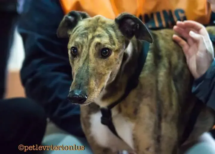 FB IMG 1488896823935