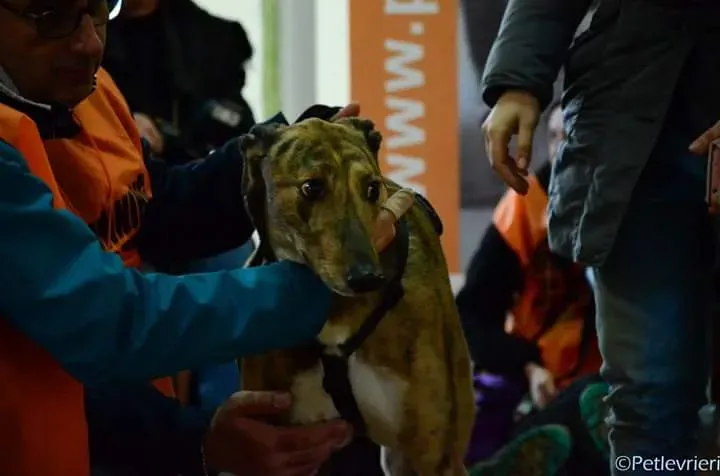 FB IMG 1488897006464