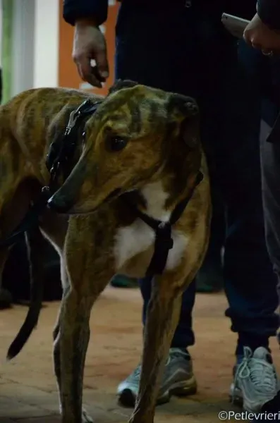 FB IMG 1488897014024