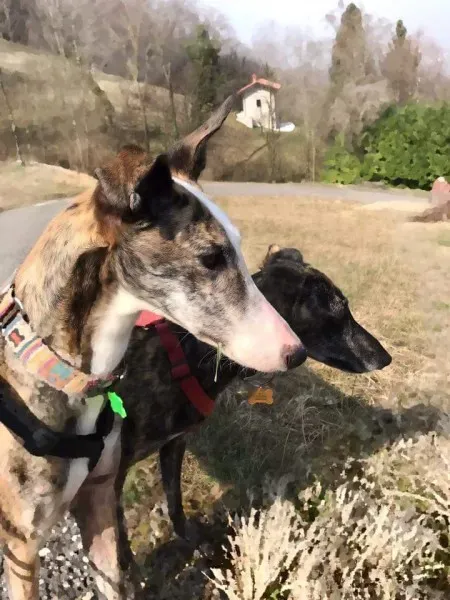 FB IMG 1489773032612