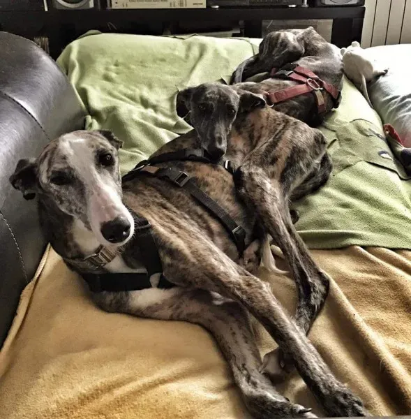 FB IMG 1489773047194