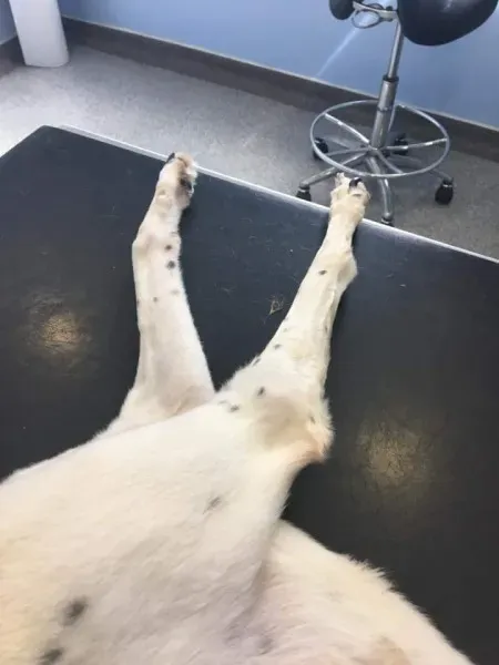 FB IMG 1490077777135