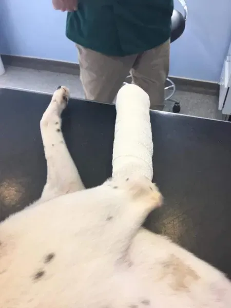 FB IMG 1490077779781